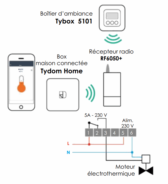 Odoo • une photo avec une légende