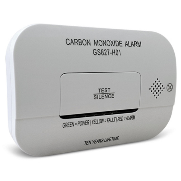 Détecteur de monoxyde de carbone Risco