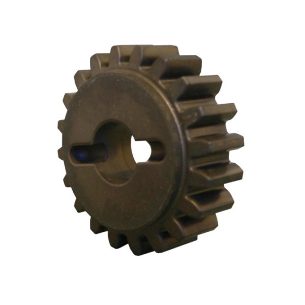 PIGNON Z20