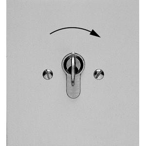 Poussoir à clé encastré - Extérieur Somfy