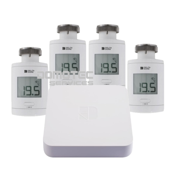 PACK STARTER 4 TRV 1.0 connect Delta Dore